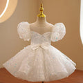Lace Special-Occasion Dress for girls