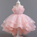 Lace Mesh Special-Occasion Dress for girls