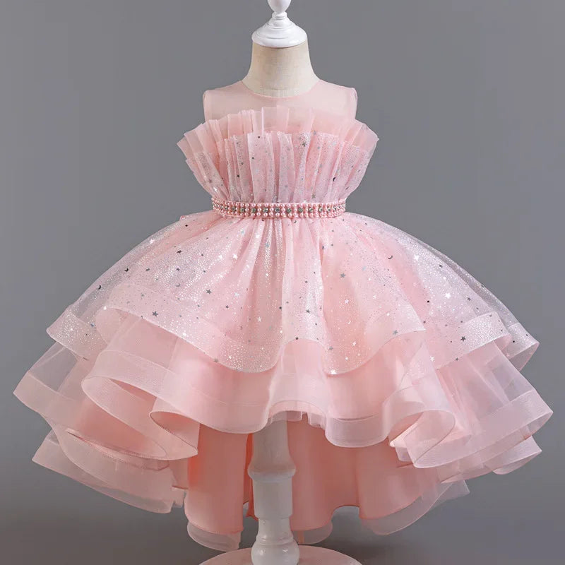 Lace Mesh Special-Occasion Dress for girls