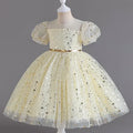 Lace Mesh Special-Occasion Dress for girls