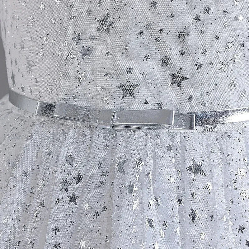Lace Mesh Special-Occasion Dress for girls
