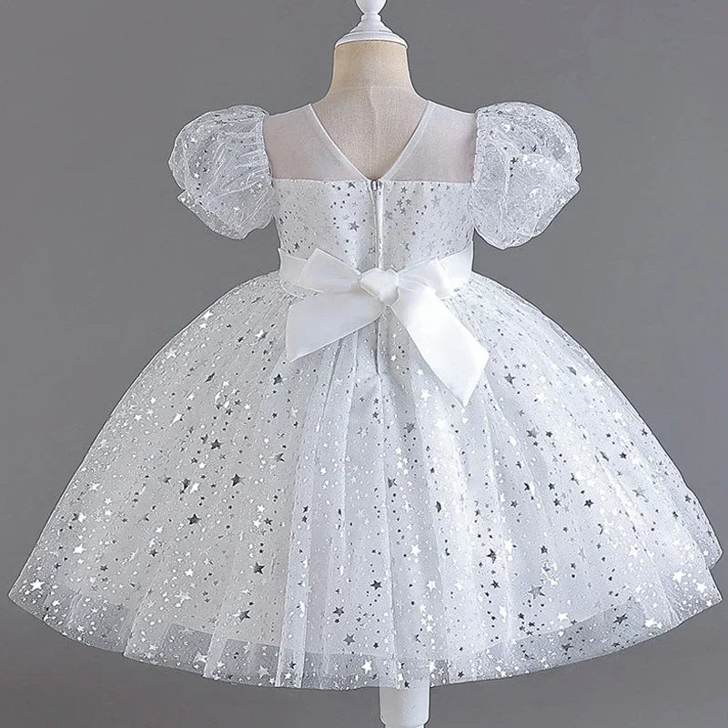 Lace Mesh Special-Occasion Dress for girls